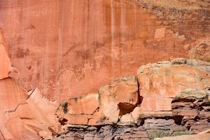 Petroglyphen aus der Frühzeit
