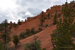 Red Canyon-Wanderweg