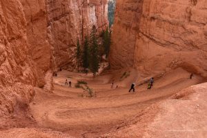 Wanderweg im Bryce Canyon