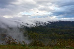 Wolken hängen in den Bäumen fest