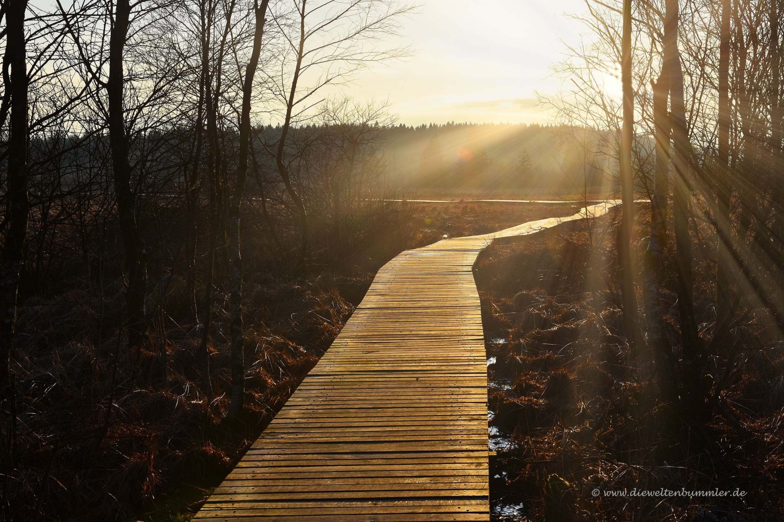 Wanderweg im Abendlicht