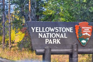 Zugang zum Yellowstone