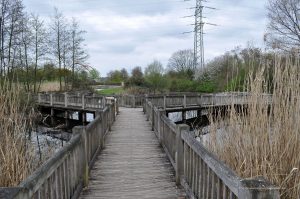 Auf dem Holzweg unterwegs