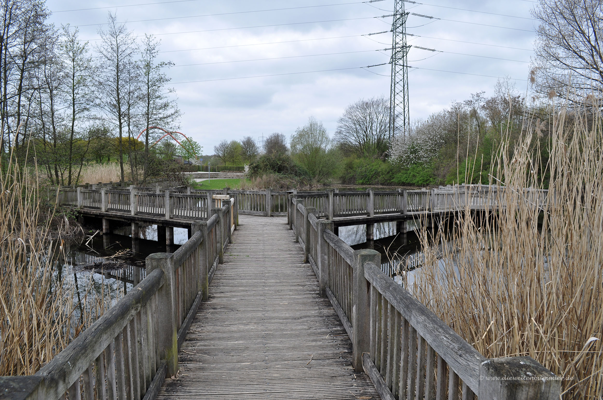 Auf dem Holzweg unterwegs