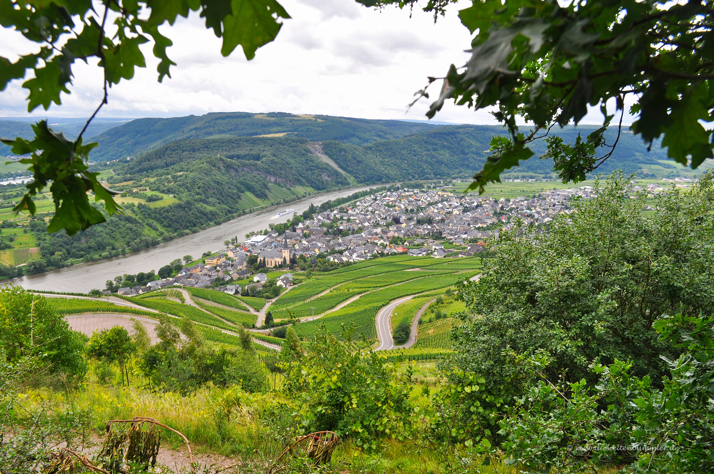 Ausblick auf Kröv