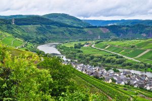 Ausblick auf Reil an der Mosel