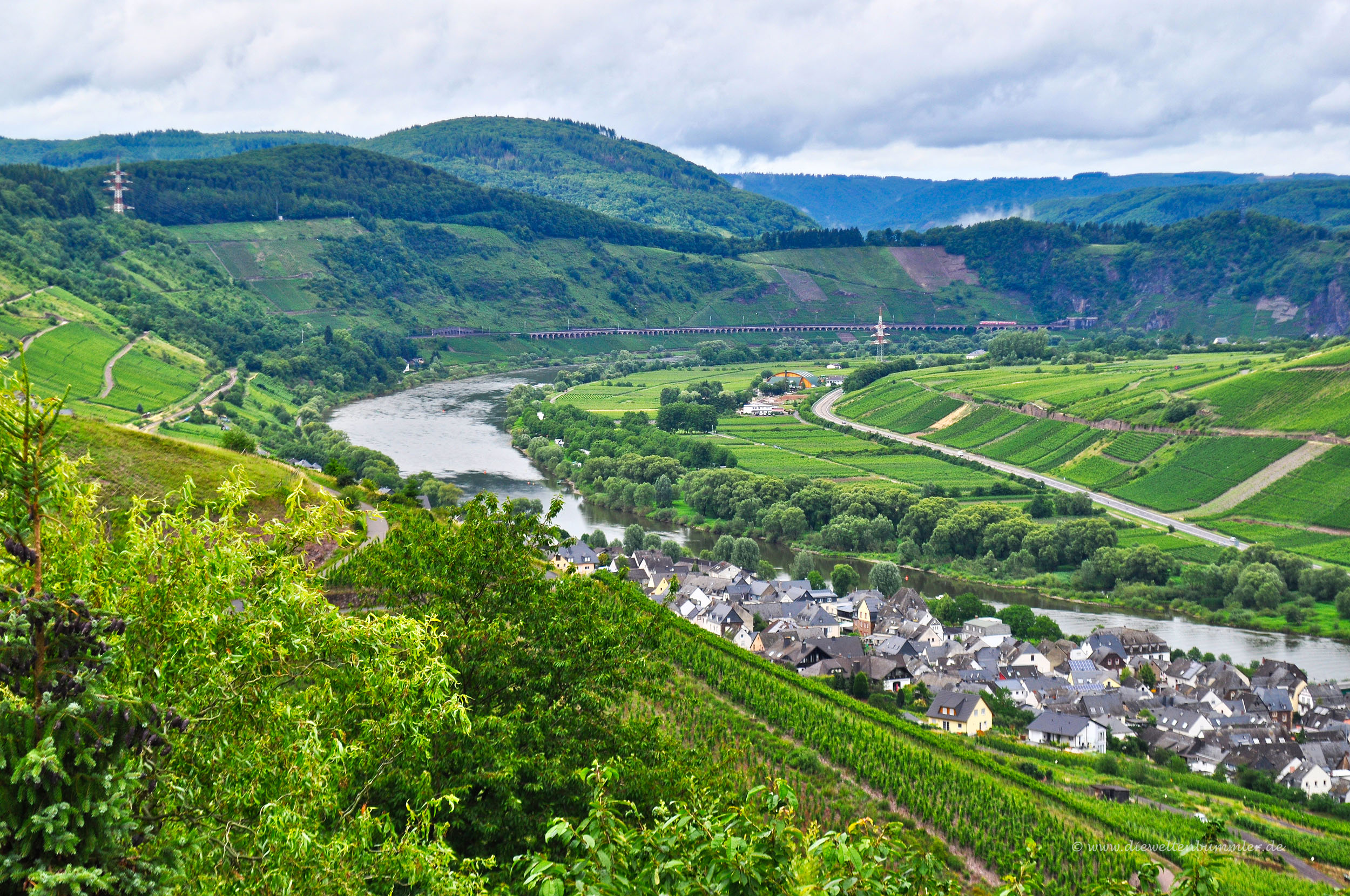 Ausblick auf Reil an der Mosel