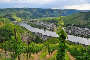 Ausblick auf die Mosel