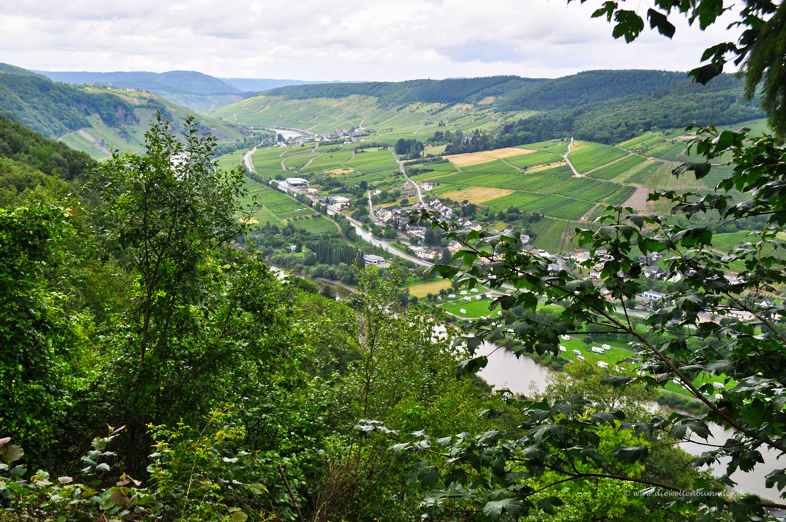 Ausblick nach Enkirch