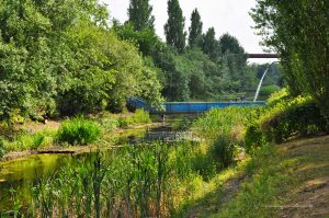 Biotop im Landschaftspark Duisburg