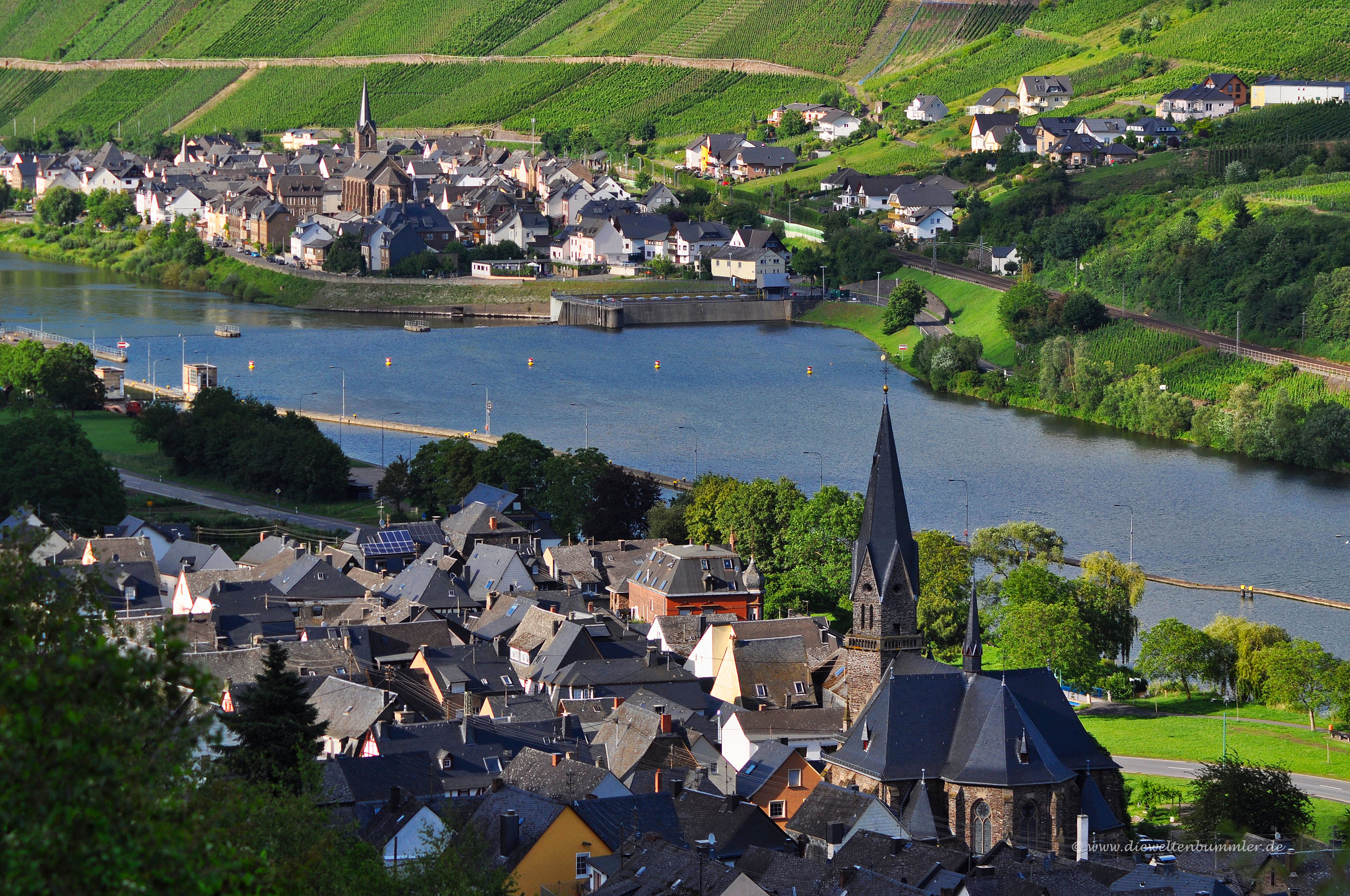 Blick über die Mosel nach Neef