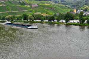 Blick über die Mosel nach Senheim