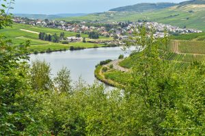 Die Mosel bei Mehring