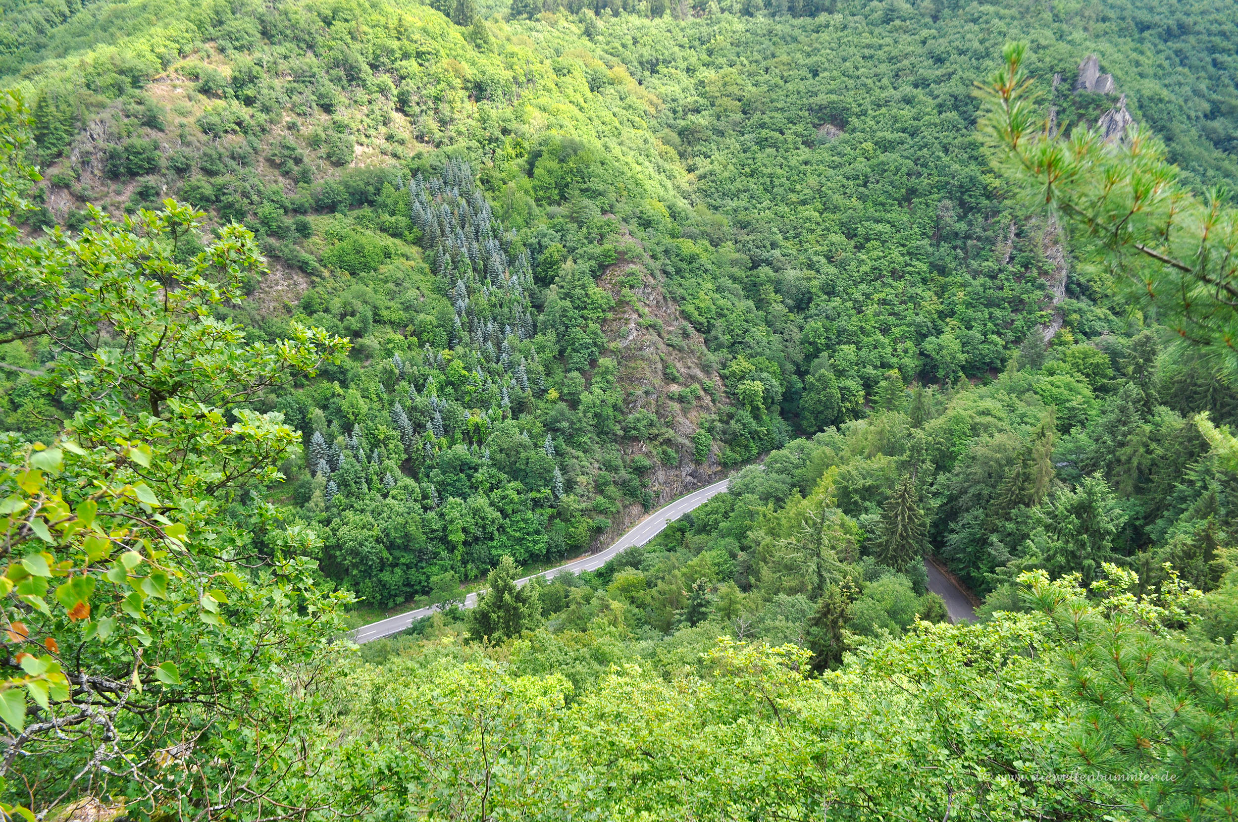 Einsame Straße in grüner Umgebung