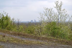 Fernsicht zur Essener Skyline