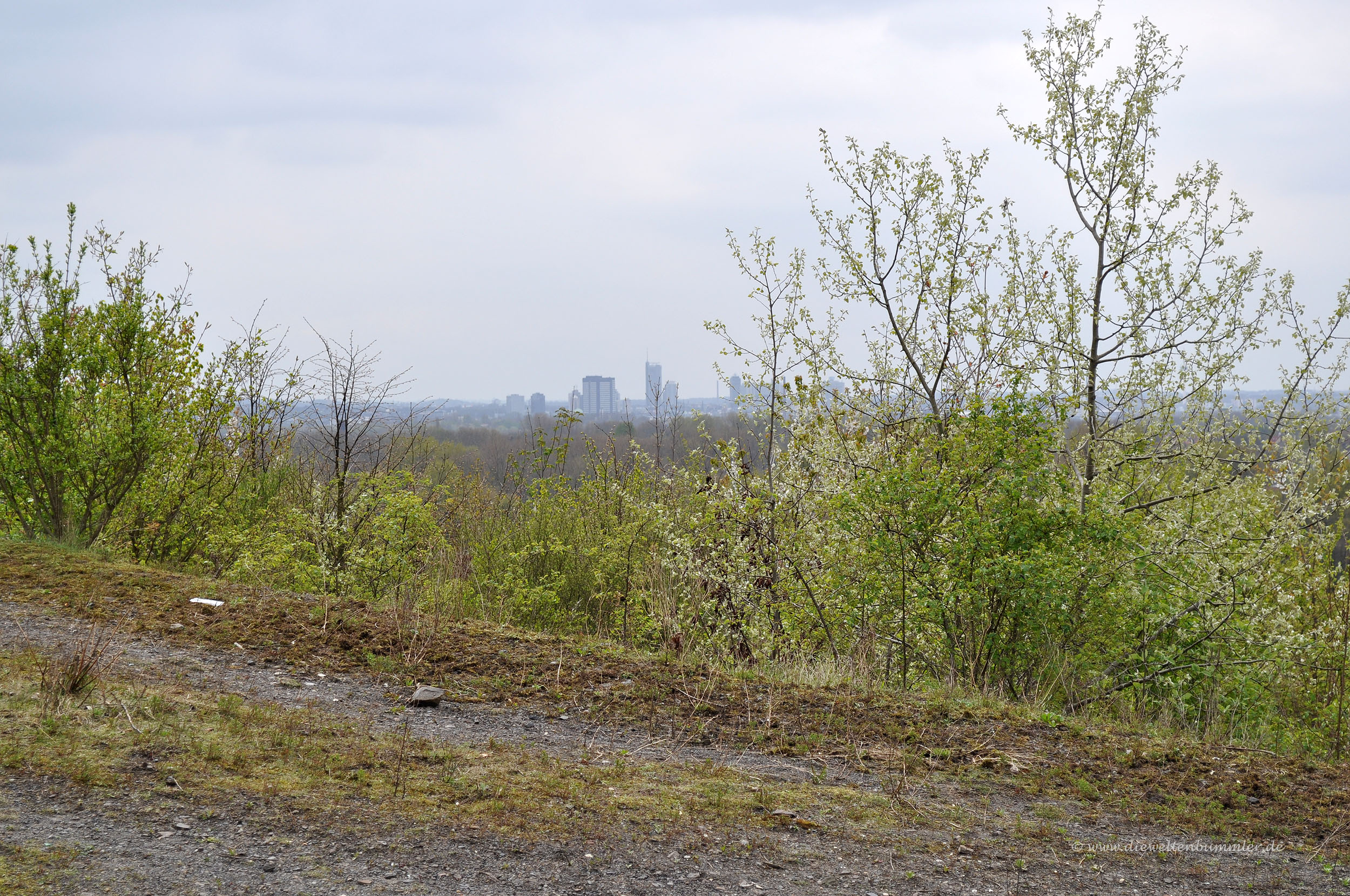 Fernsicht zur Essener Skyline