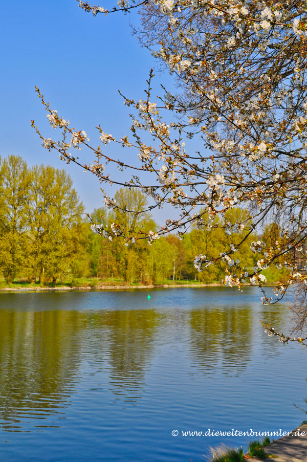 Frühlingserwachen an der Ruhr