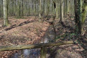 Kleiner Bachlauf