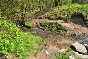 Kleiner Hexbach in Essen