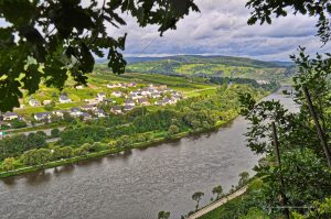 Mosel bei Briedel