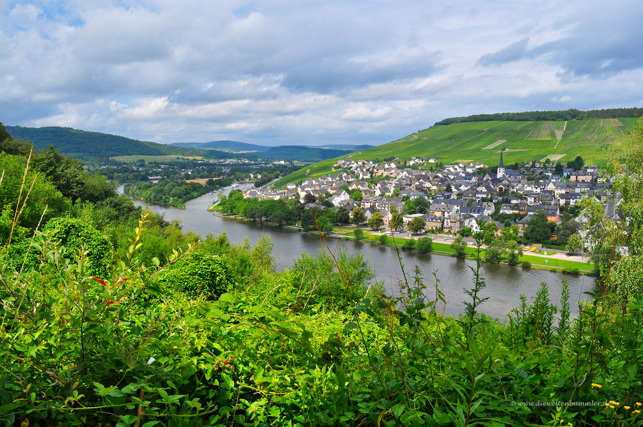 Mosellandschaft
