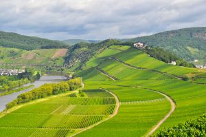 Moselschleife bei Pünderich