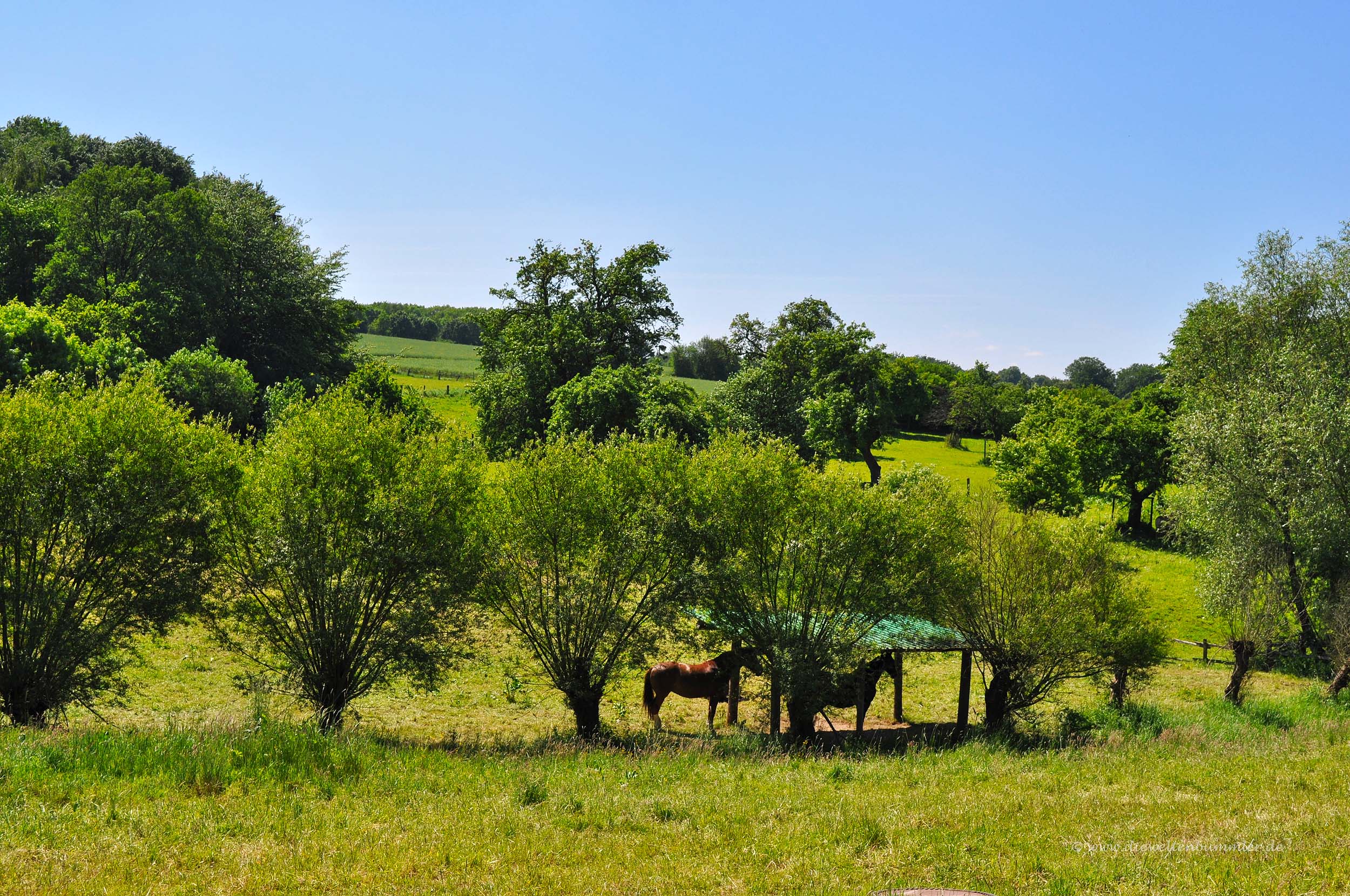 Naturschutzgebiet Rossenbecktal