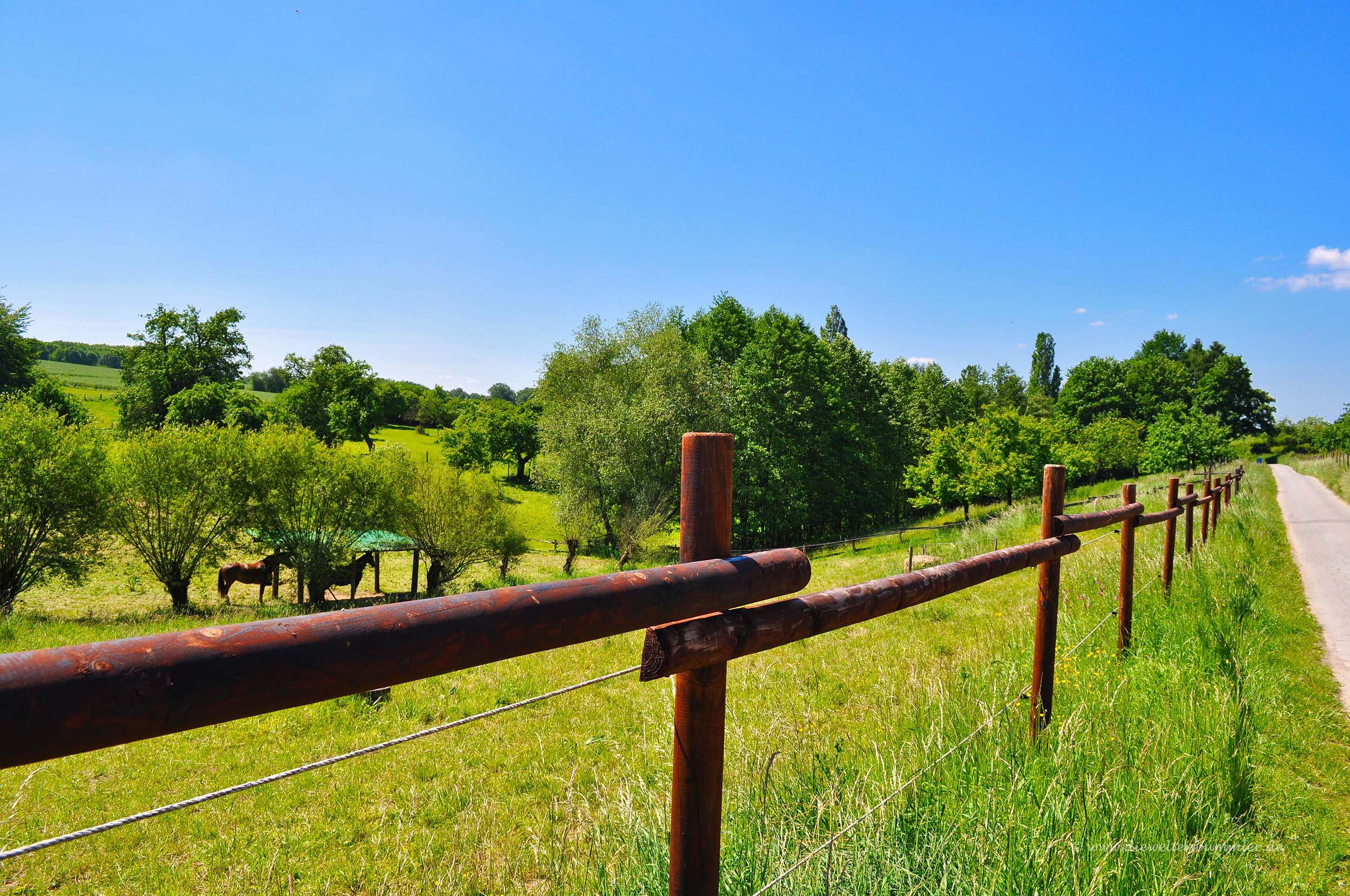 Pferdekoppeln am Wegesrand