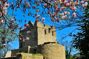 Ruine in Burgaltendorf