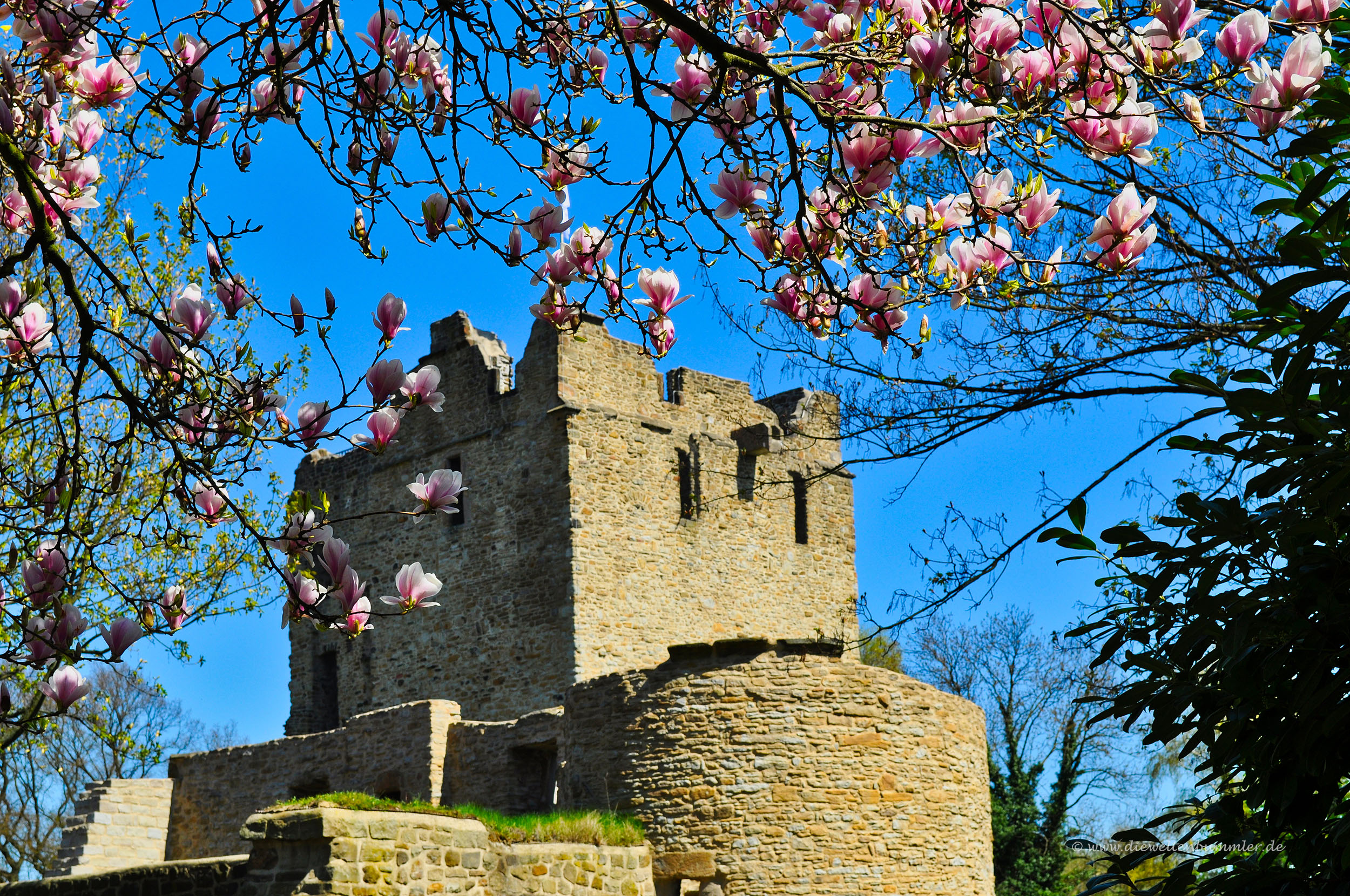 Ruine in Burgaltendorf