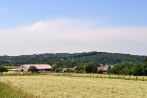 Schellenberger Wald in Heisingen