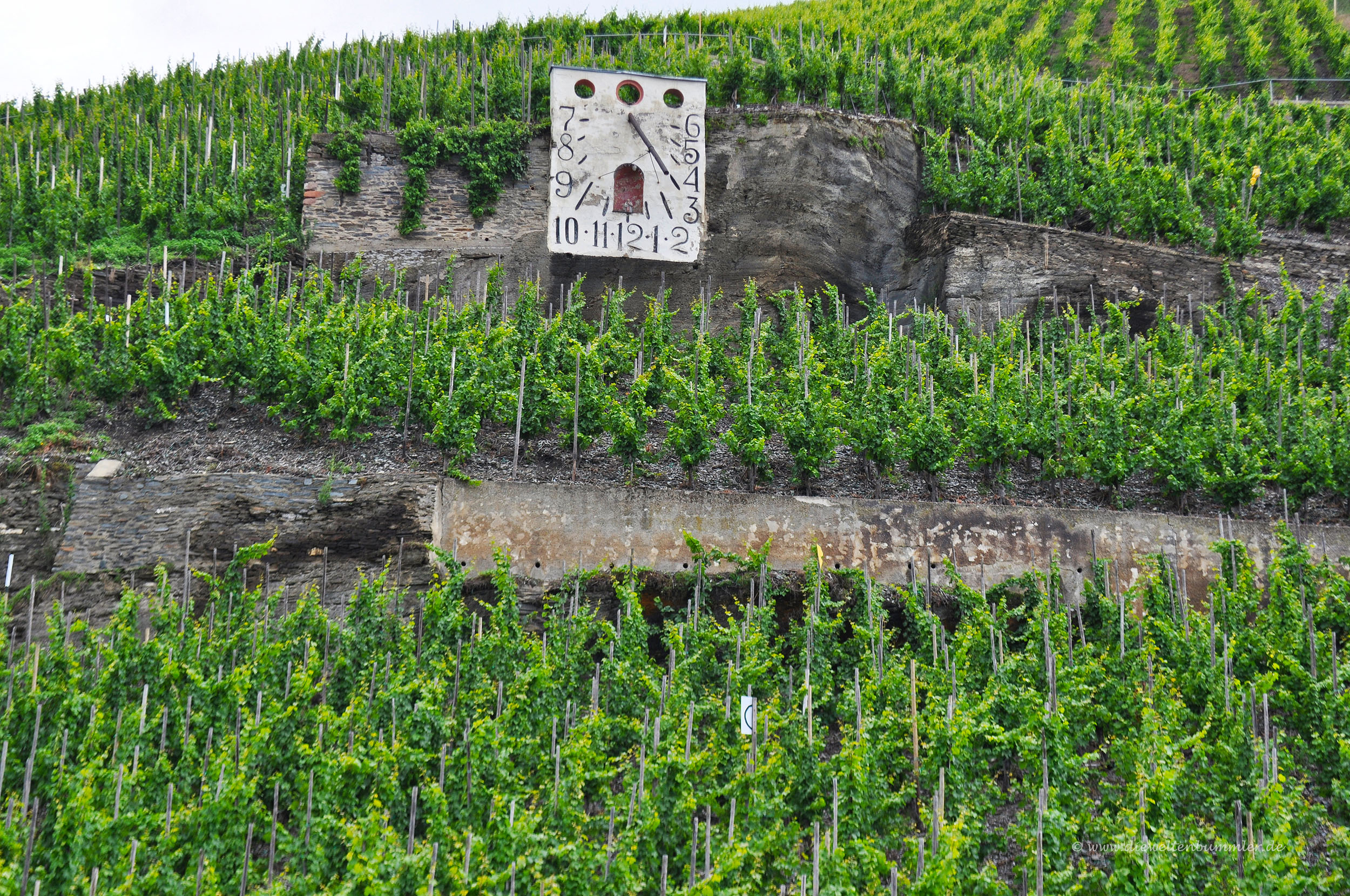 Sonnenuhr in den Weinbergen
