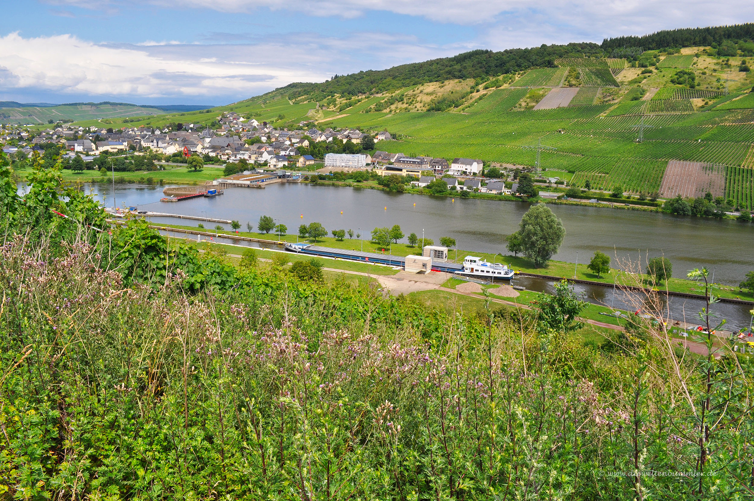 Staustufe Wintrich an der Mosel