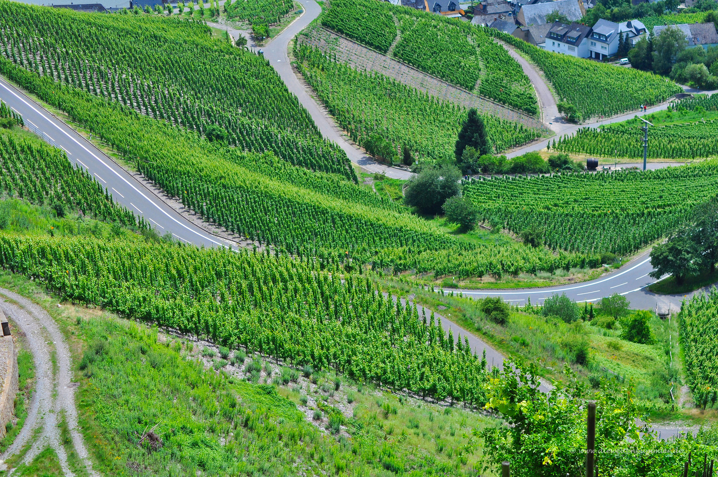 Straßen und Weinberge kreuz und quer