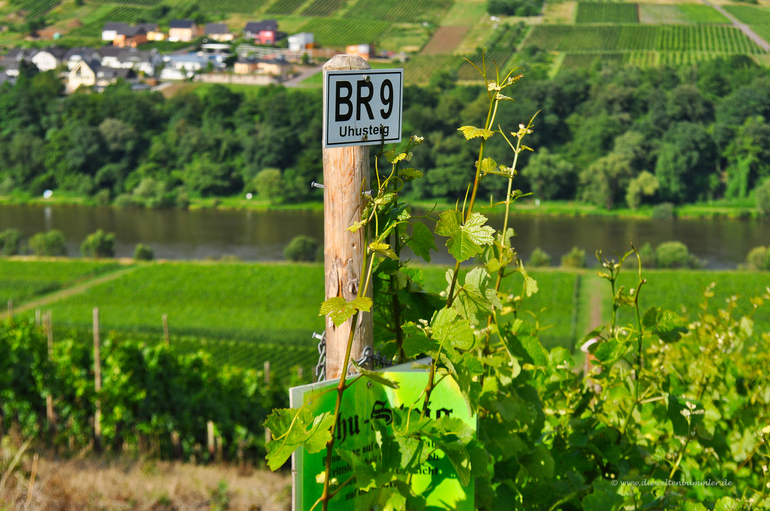 Unterwegs auf dem Uhu-Pfad