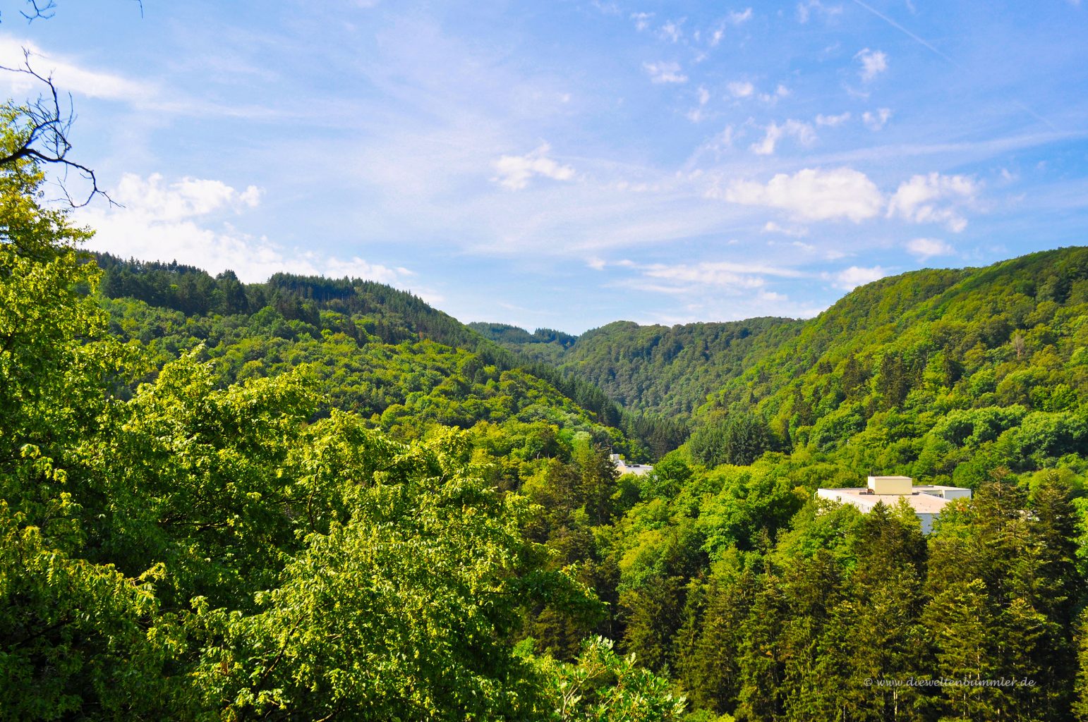 Waldreiche Region in der Vulkaneifel