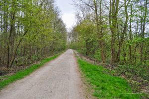 Wandern und radeln auf dem Zollvereinweg