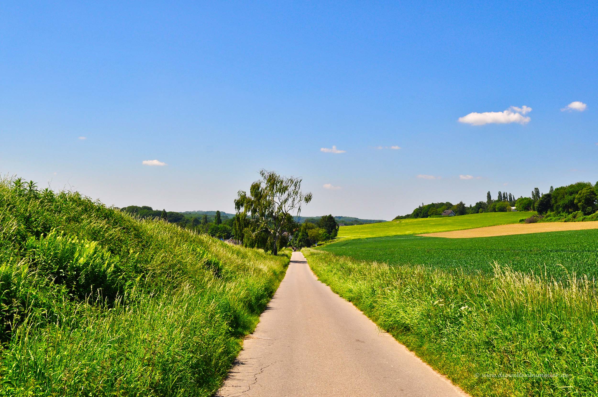 Wanderung durch das Naturschutzgebiet