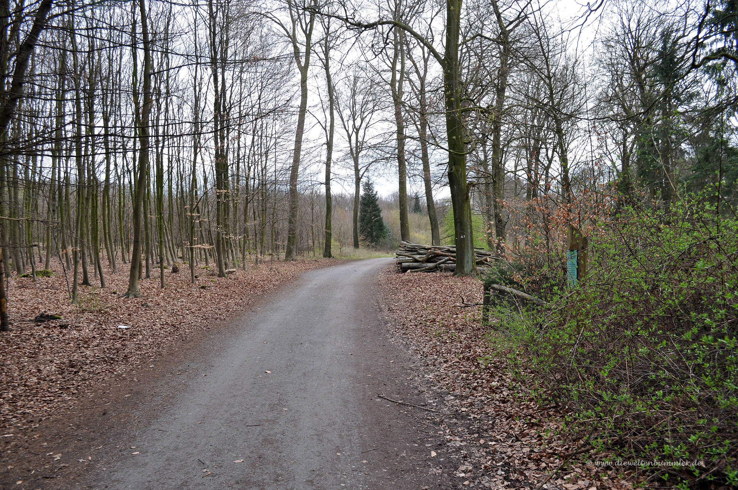 Wanderung im Stadtwald