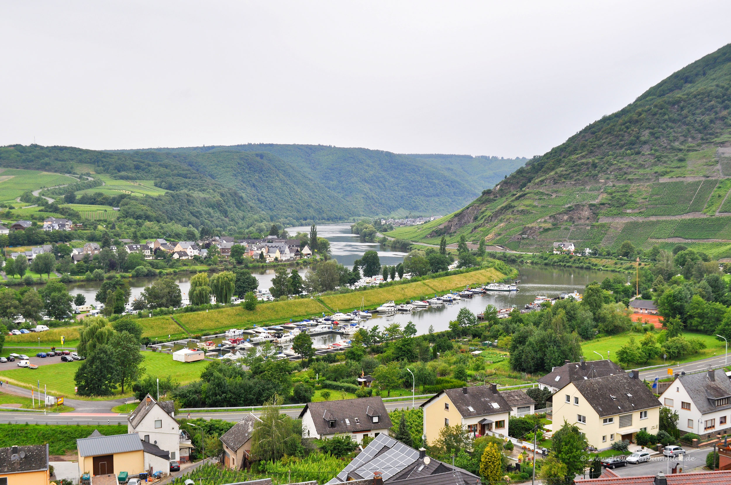 Wanderung oberhalb von Senheim