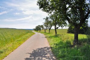 Wanderweg bei Bad Bertrich