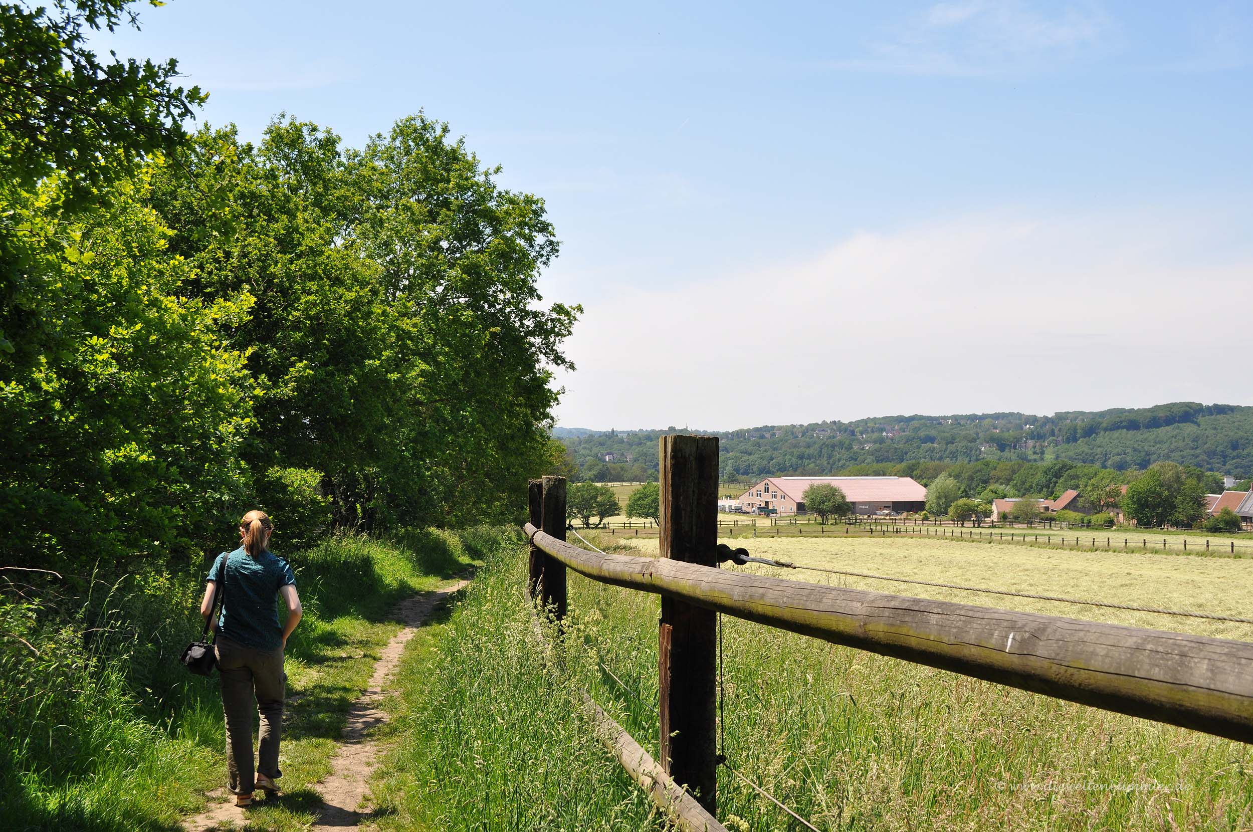 Wanderweg in Überruhr