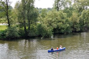 Wassersportler auf der Ruhr in Essen