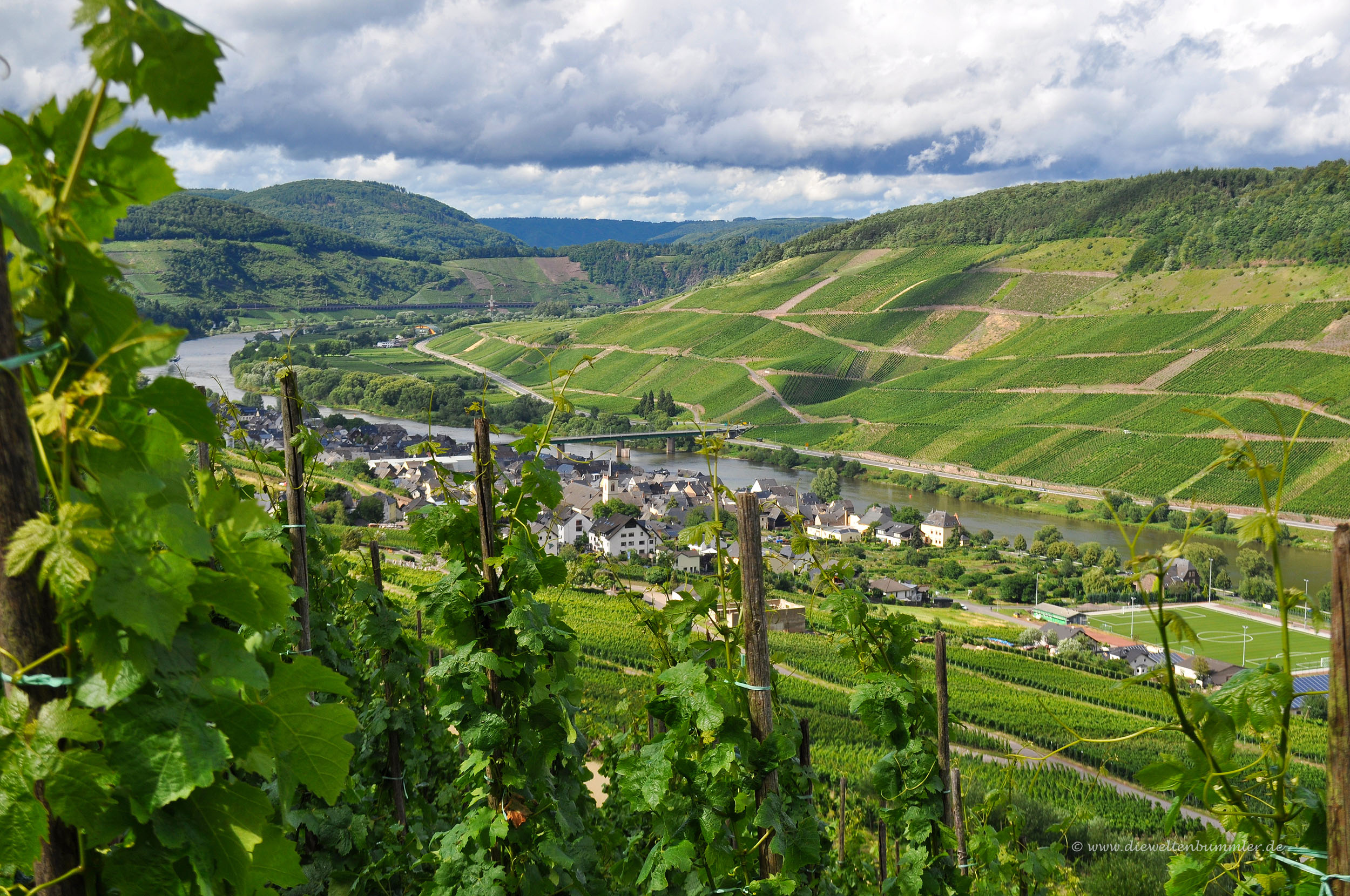 Weinberge an der Mosel