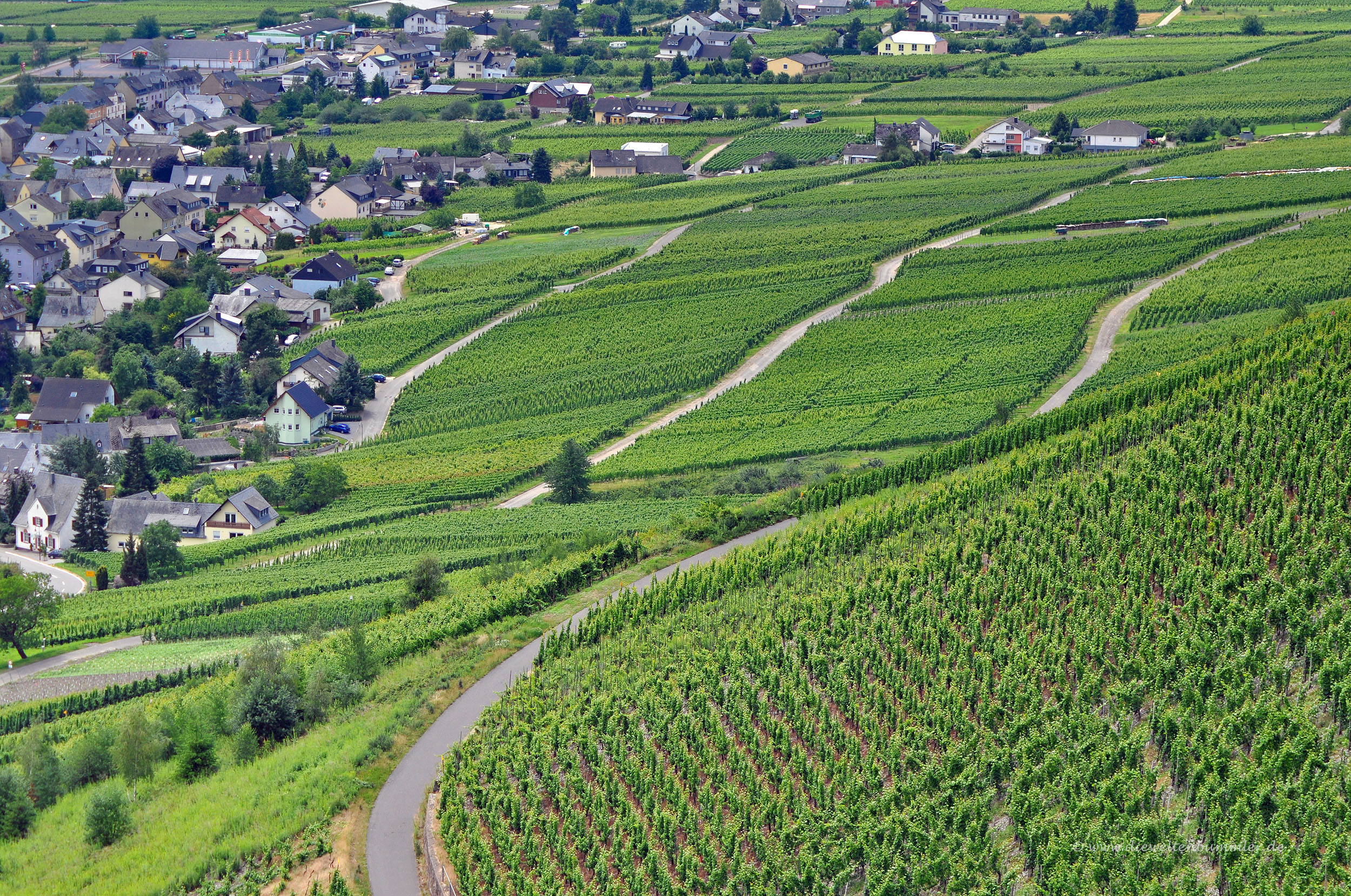 Weinberge wohin man schaut