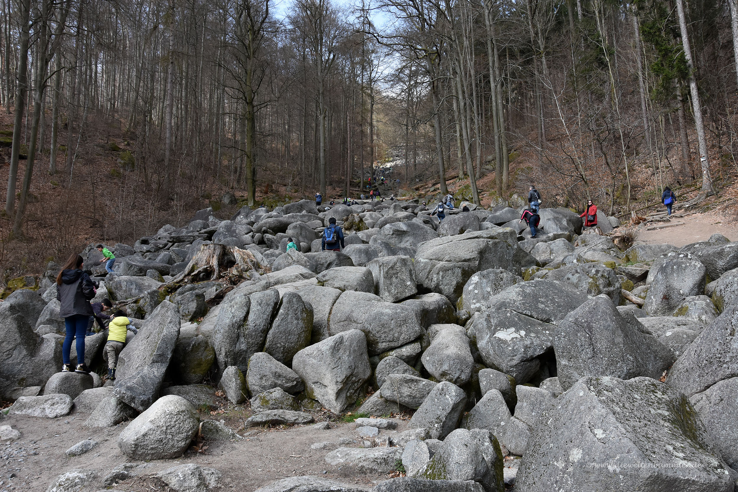 Felsenmeer im Odenwald
