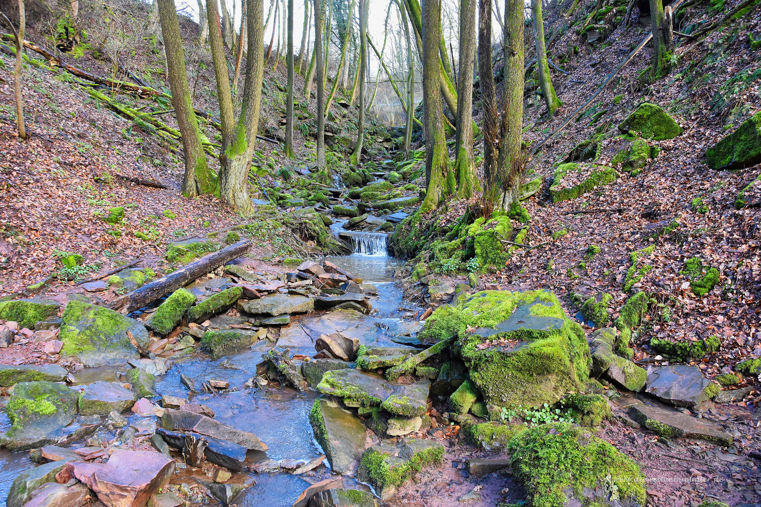Margaretenschlucht