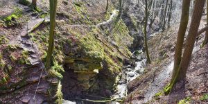 Wanderweg in der Schlucht