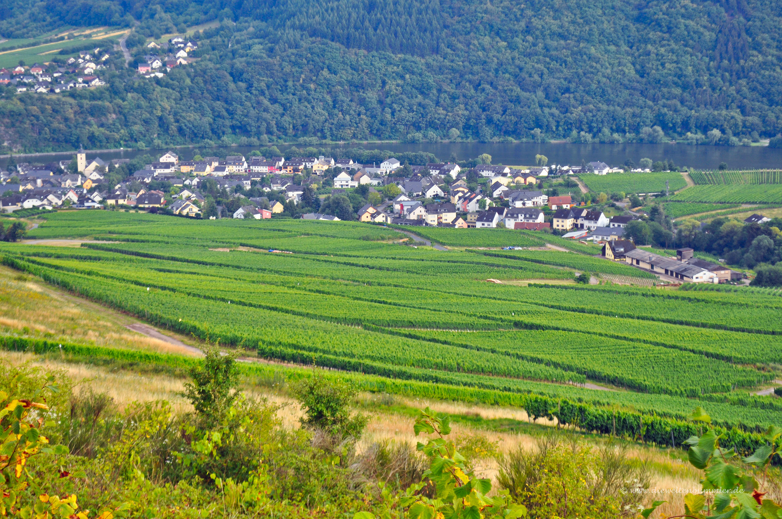 Ausblick auf Mehring