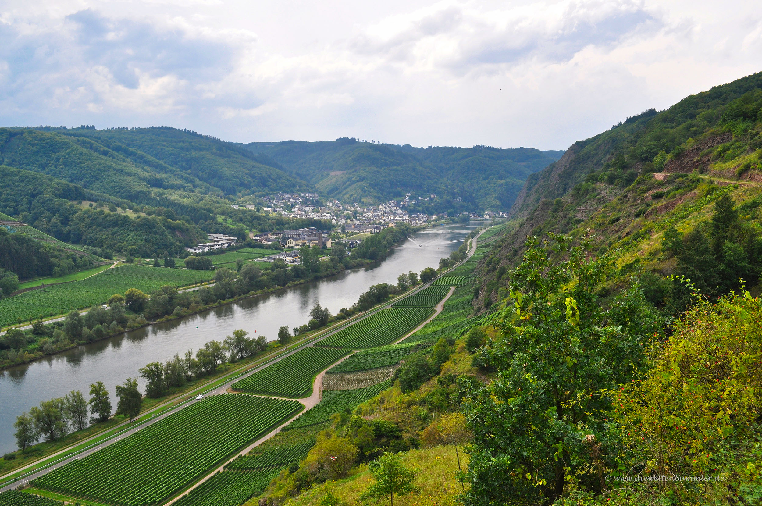 Ausblick auf das Moseltal